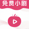 51黑料APPAPP应用